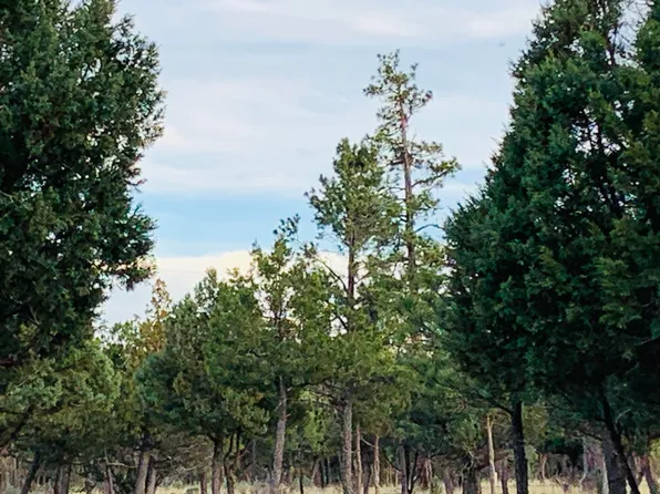 5732 Raton Cir, Happy Jack, AZ 86024