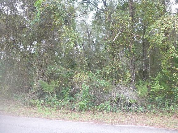 5th image of Cortez Blvd