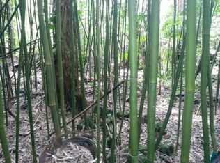 16-356 Kiele St LOT 38, Keaau, HI 96749