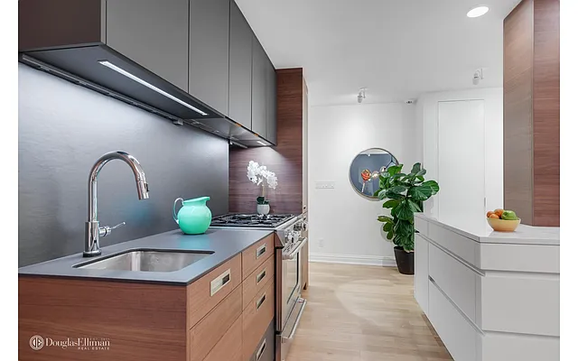 Sold by Douglas Elliman | media 4