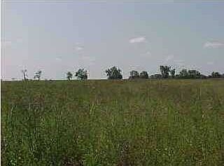 1st image of 1605 Flowersview Blvd