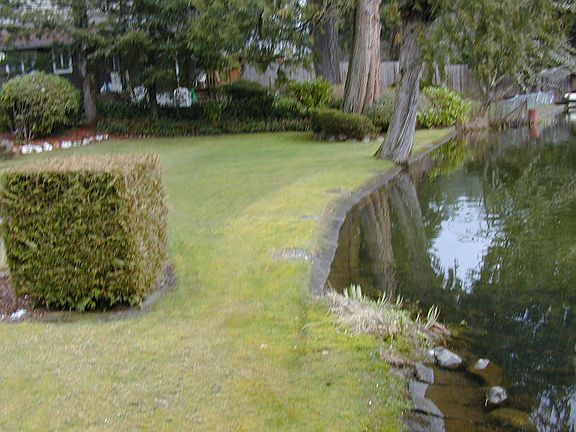 4th image of 25624 Lake Wilderness Ln SE
