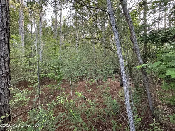N Lot 1 River Rd, Summit, MS 39666
