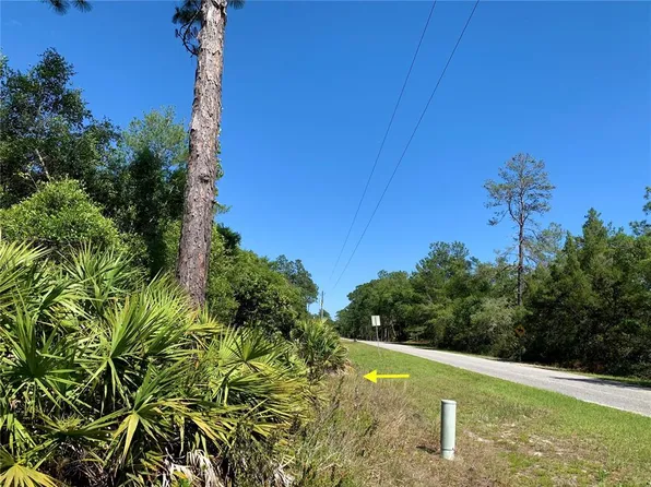 LOT 12 Fir St Lot 12, Eustis, FL 32736