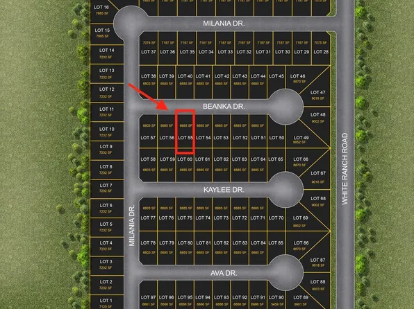 723 Beanka Dr #55, La Feria, TX 78559