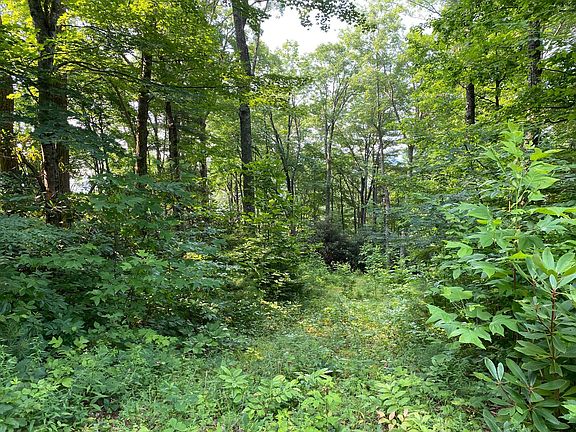 4th image of 704 Heartwood Ln