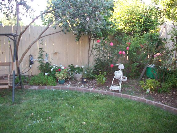 huge back yard