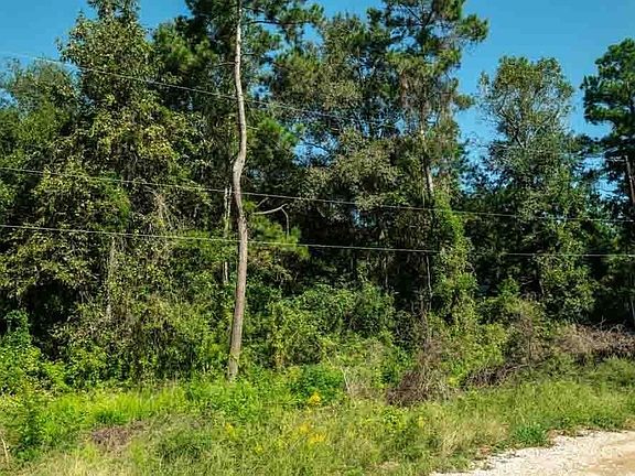 4th image of 25865 Somerset Lot 33