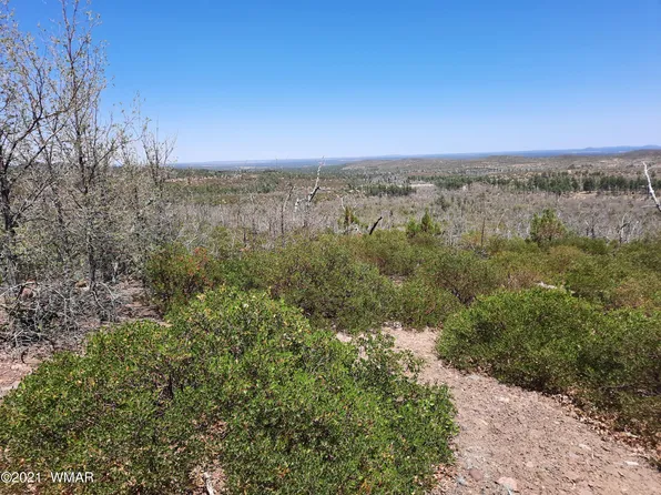 TBD Field Rd, Show Low, AZ 85901