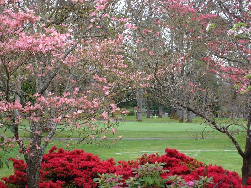 Situated on the Oakbrook Golf & Country Club 10th Fairway, this home is a Gardener's Paradise!