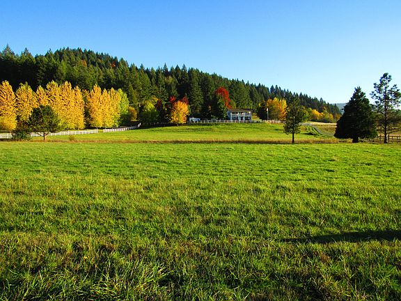 House and Pasture