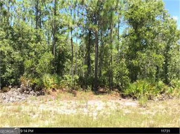 6927 Greenfield Rd, Blackshear, GA 31516