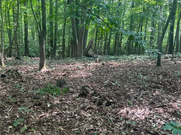 J W Hughes Dr, Mount Nebo, WV 26679