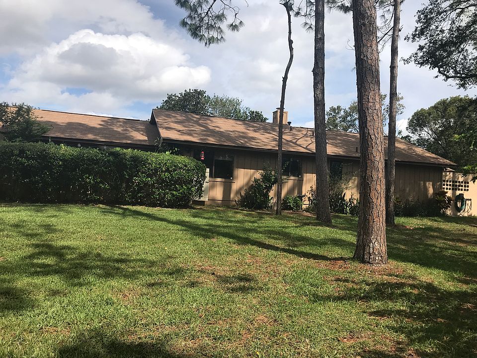 Back View of  house