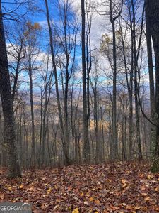 0 Crestview Dr, Otto, NC, 28763