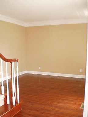 5th image of 7023 Cardindale Dr