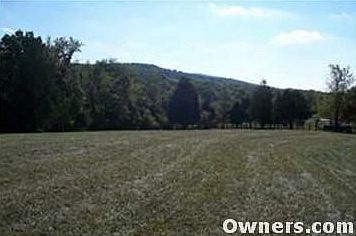 Pastures great for Horses & other Livestock