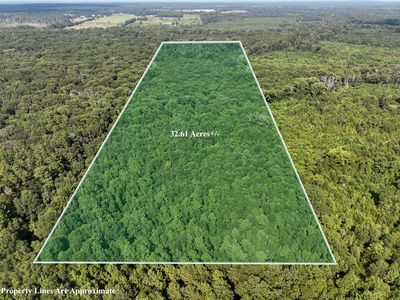 1 County Rd, Broaddus, TX, 75929