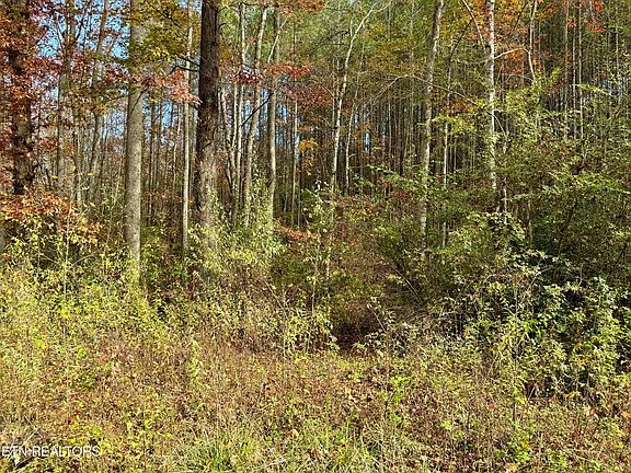 5th image of Lower Rockwood Rd Lot 14