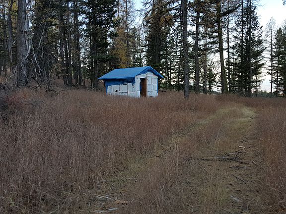 Shed for feed storage