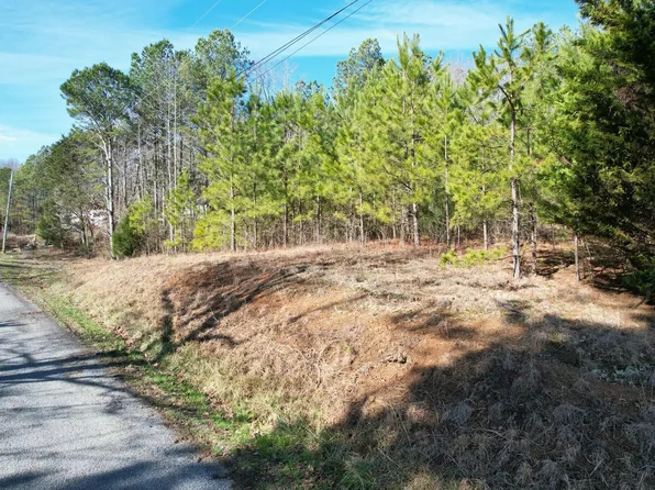 5 County Road 47, Riceville, TN 37370
