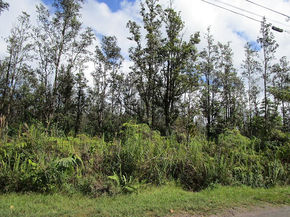 2nd image of Road 9 Koloa Maoli Lot 5406