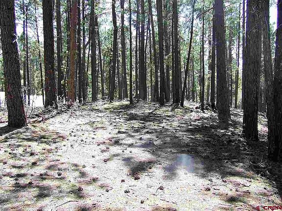 2nd image of 486 Timber Dr