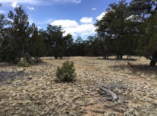 LOT 17 Candy Kitchen Rd, Pinehill, NM 87357