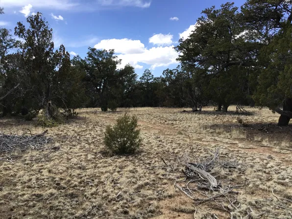 LOT 17 Candy Kitchen Rd, Pinehill, NM 87357