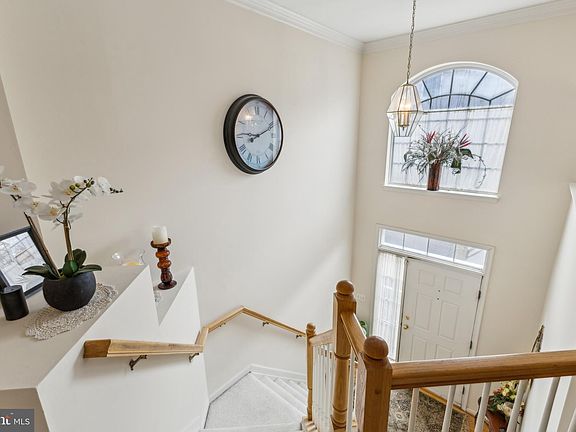 4th image of 11424 Tiger Lily Ln