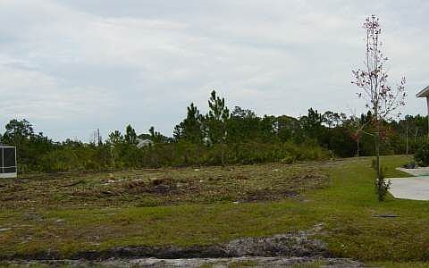 2nd image of 54 Lee Dr
