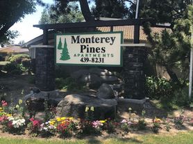 Monterey Pines