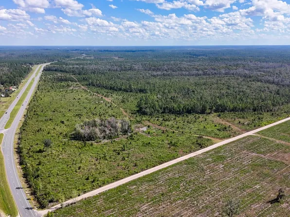 County Dirt Rd, Du Pont, GA 31630