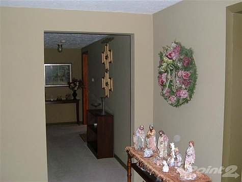 5th image of 37 Vivian Dr