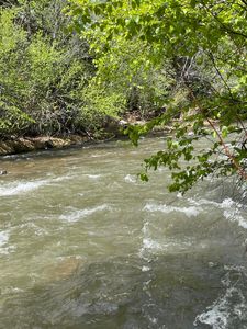 21589 San Juan Vista Rd #51 & 52, Placerville, CO, 81430