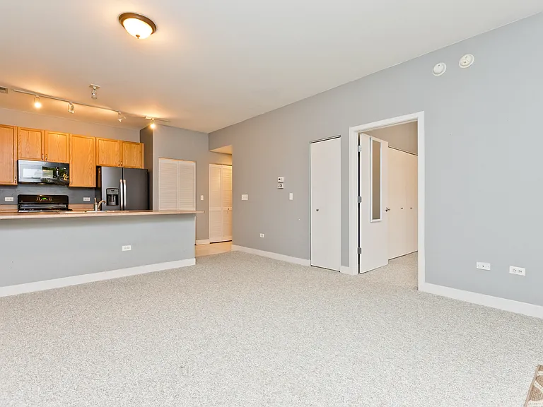 1515 S Halsted St #214 — Photo 5