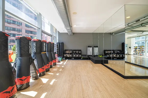 Rented by Platinum Properties | media 23