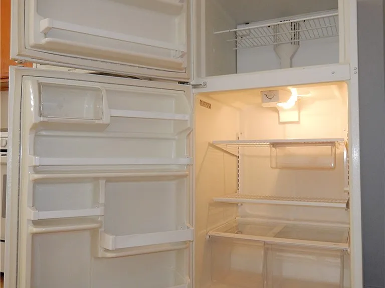 693 Salt Flats Cir — Photo 13