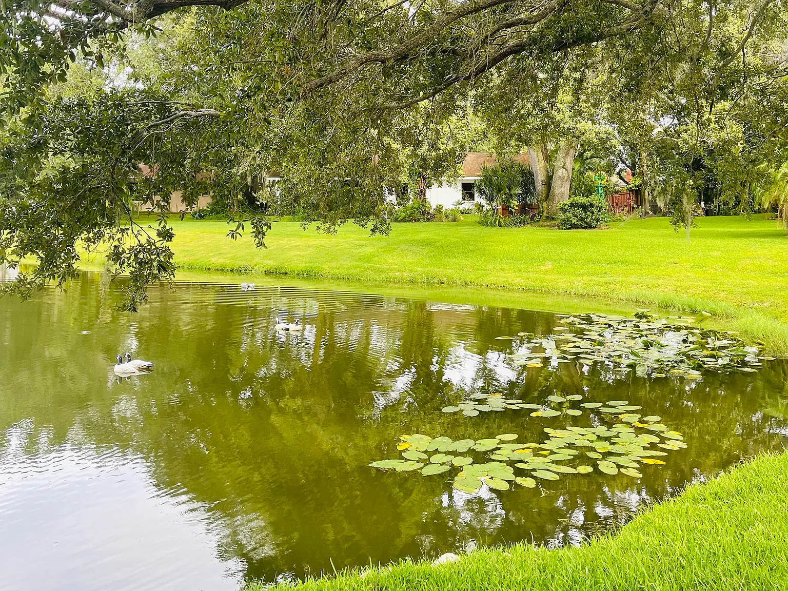 3 bed, 1849 sqft, $3,500 — Photo 3