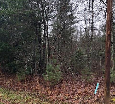 3rd image of 143 Laswell Ln