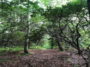Little Elbow Mountain Rd, Lake Toxaway, NC 28747