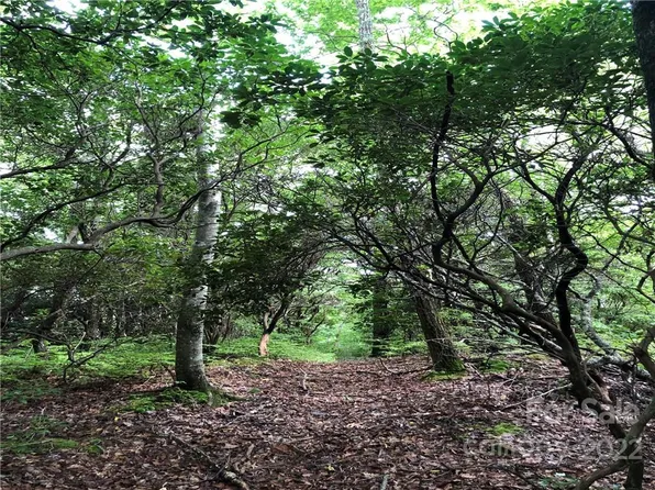 Little Elbow Mountain Rd, Lake Toxaway, NC 28747