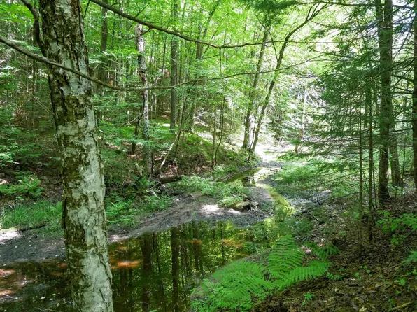 +/-18.5 Acres COUNTY ROAD C, Ogema, WI 54459