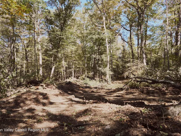 Lot 5 Flatbush Avenue, Kingston, NY 12401