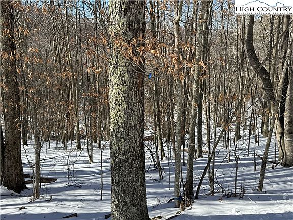 2nd image of 120 Aster Trail