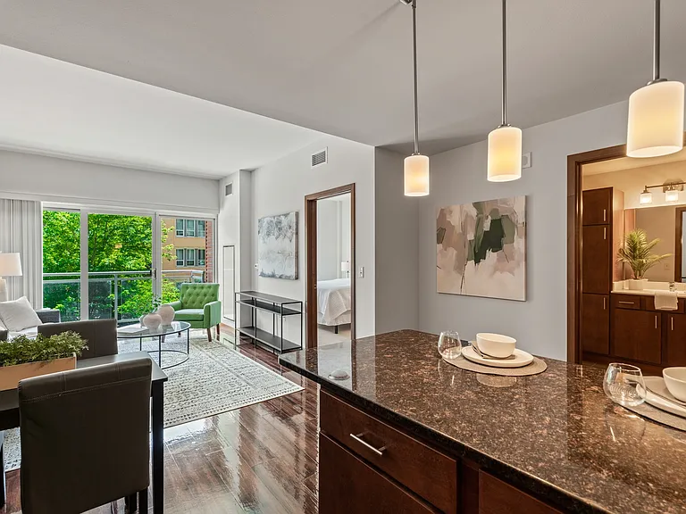 Domain Kitchen and Living Room