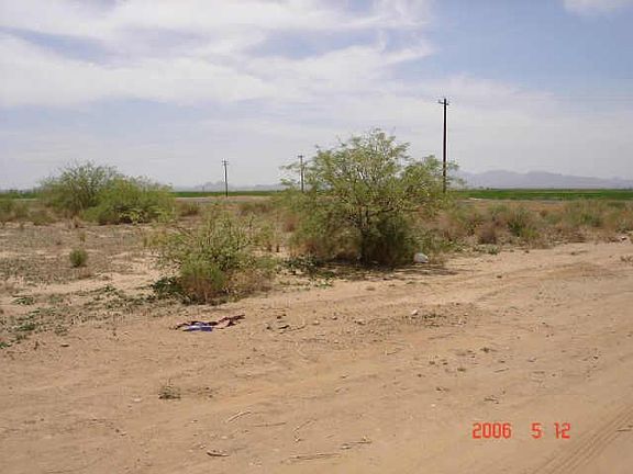 3rd image of 0 W Candy Cactus -- #C1
