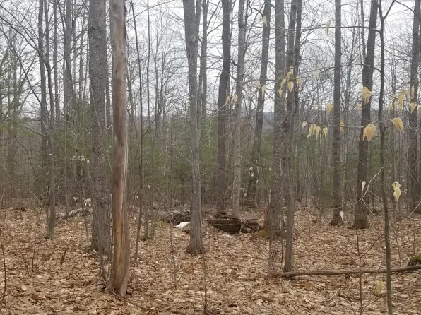 Lot 49 Adams Road, Chesterville, ME 04938