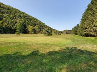 938 Ithaca Rd, Willseyville, NY 13864