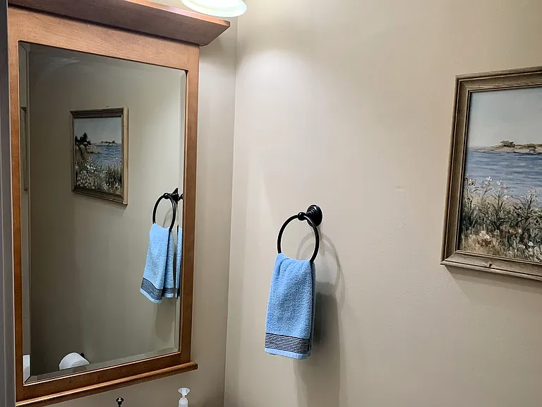 Palmetto Harbour Dr — Photo 18
